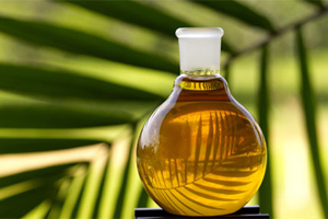 Китай меняет правила проверки импорта пальмового масла 