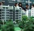 В Китае 15% миллионеров зарабатывают на недвижимости