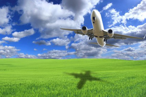 Китай разработал авиационное биотопливо