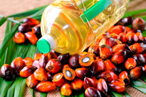 В феврале импорт пальмового масла в Китай может вырасти на 14%