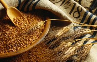 Производство зерна в Китае превысило 600 млн тонн