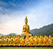 Таиланд готовится ко Дню рождения Будды